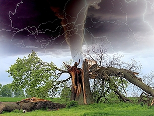 Baum in den Blitze eingeschlagen sind, im Hintergrund Sturm