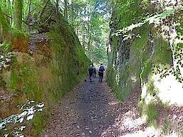 GeoRoute Niederfischbach