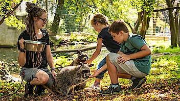 Tierpark Niederfischbach