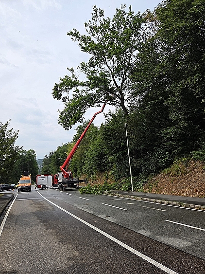 ein Hubsteiger auf einer Bundesstraße, der Äste aus einem Baum schneidet