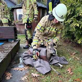 Ein Reh in eine Decke gewickelt wird von einem Feuerwehrmann versorgt. 