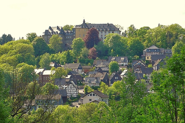 Alt-Freusburg
