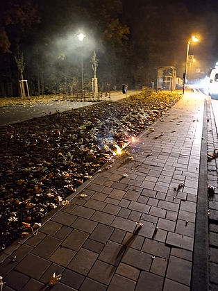 Ein gepflasterter Gehweg mit angrenzendem Blumenbeet, an dem kleine Flammen erkennbar sind. 