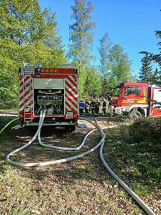 Feuerwehrautos im Wald bei einem Waldbrand, es sind Schläuche angeschlossen