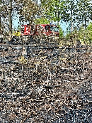 Nachlöscharbeiten bei einem Waldbrand