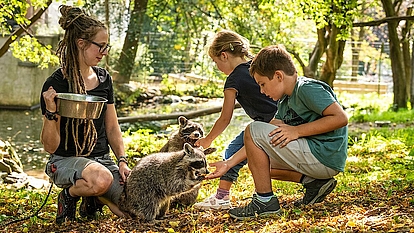 Tierpark Niederfischbach