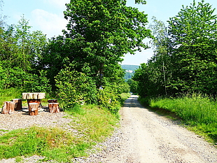 Druidensteinwanderweg